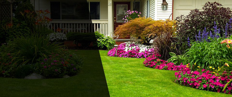 Raymond Landscapers