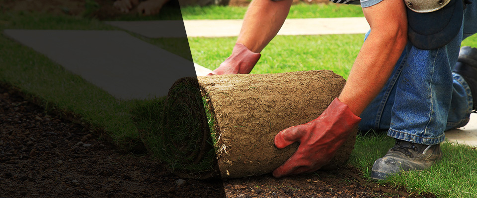 Raymond Landscapers